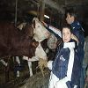 Onnion 2006 46